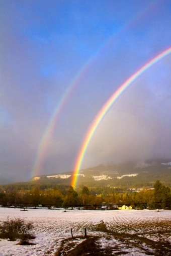 winter rainbow, Pucker Huddle