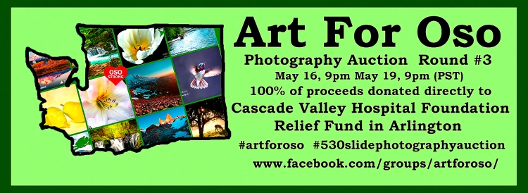 Art For Oso Photography Auction Fundraiser