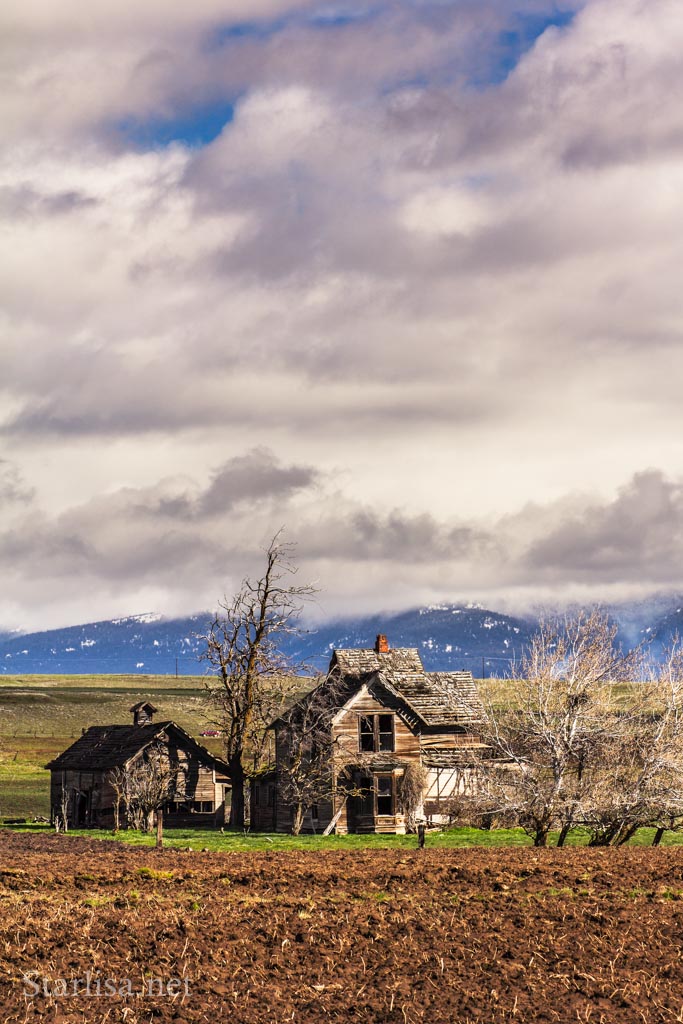 Old Homestead in early spring near Goldendale, Klickitat County, Washington