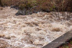 WSR-Husum-flood-12-9-15-0878