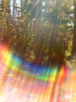RainbowLight-2007-BCM_3123